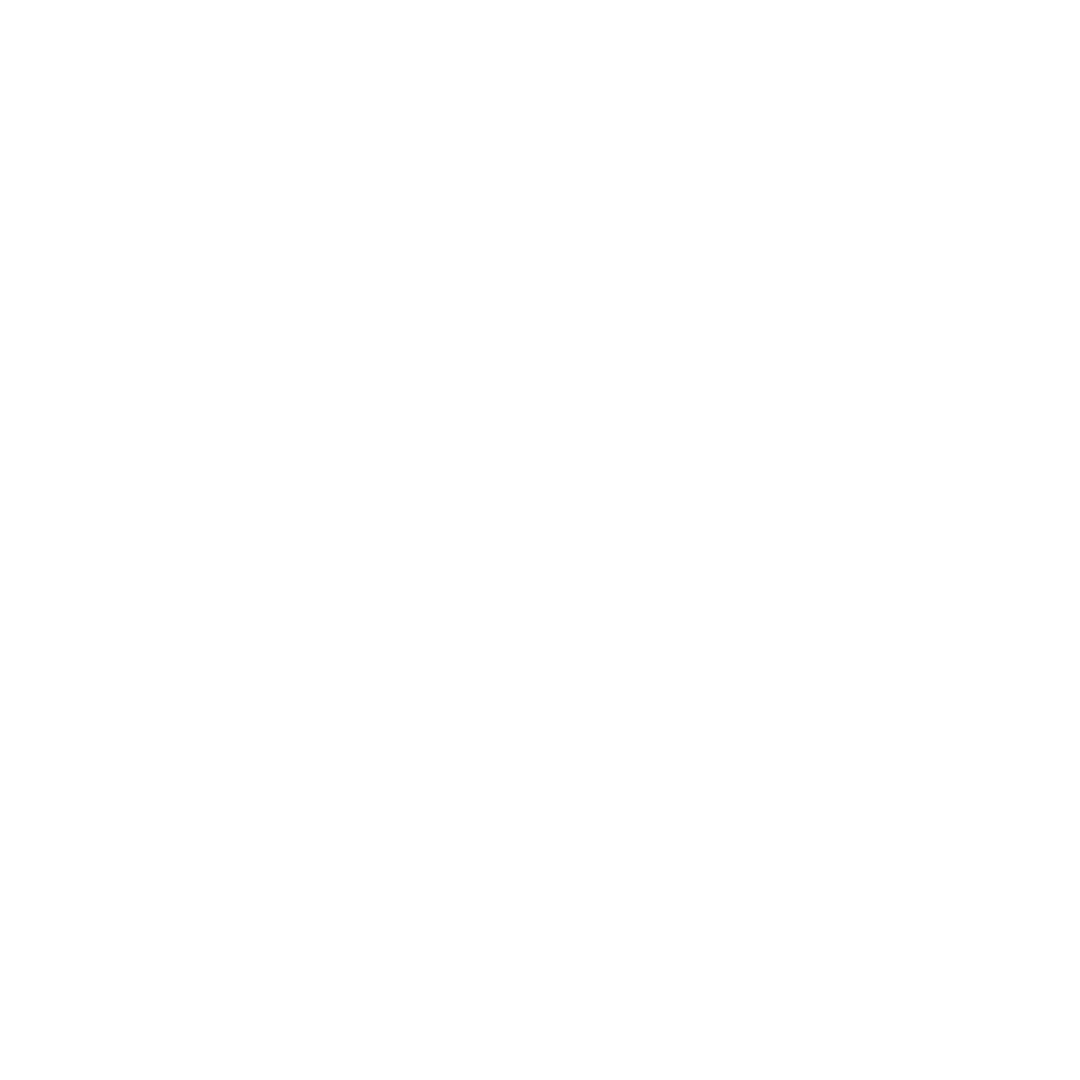 Feature 1